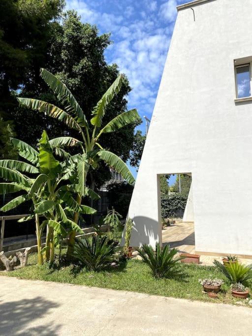 Apartmán Casa Woow Carini Exteriér fotografie