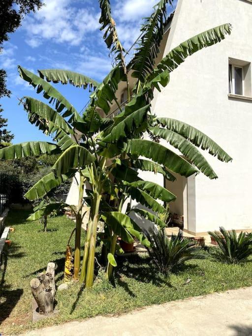 Apartmán Casa Woow Carini Exteriér fotografie